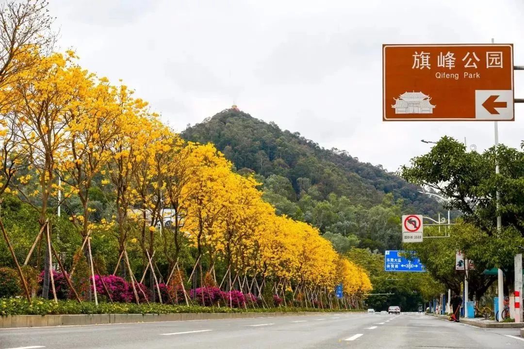 东莞买房地段分析,东莞房价洼地在哪里