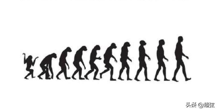 不同动物之间互相交配是否有违伦理道德？