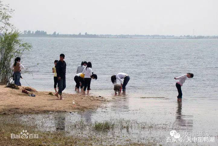 宿鸭湖事忆(一)(二)