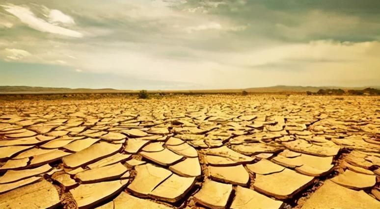 海水珍珠的保养和清洗方法,珍珠的保养和清洗方法