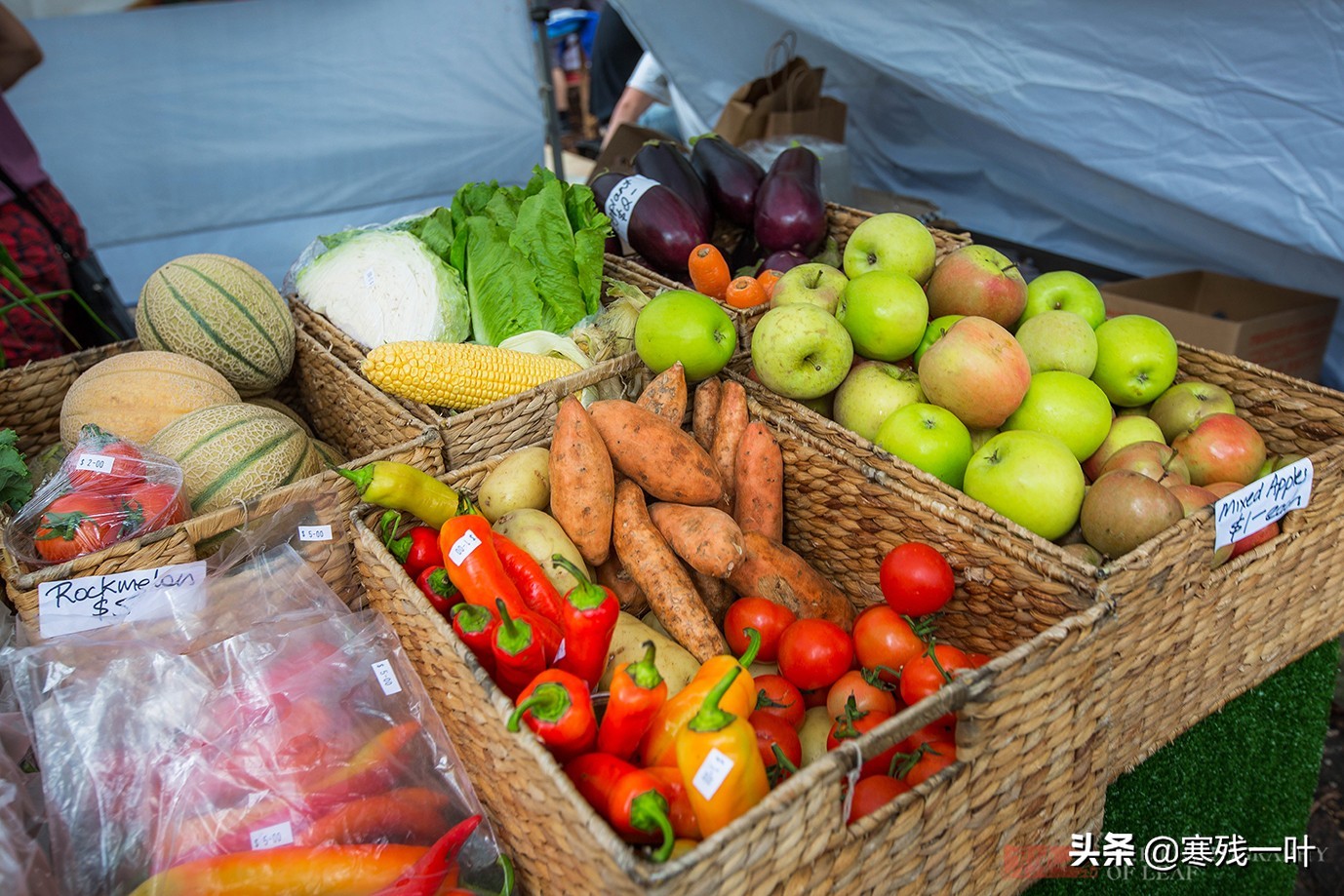 逛国外跳蚤市场,澳大利亚悉尼消费水平