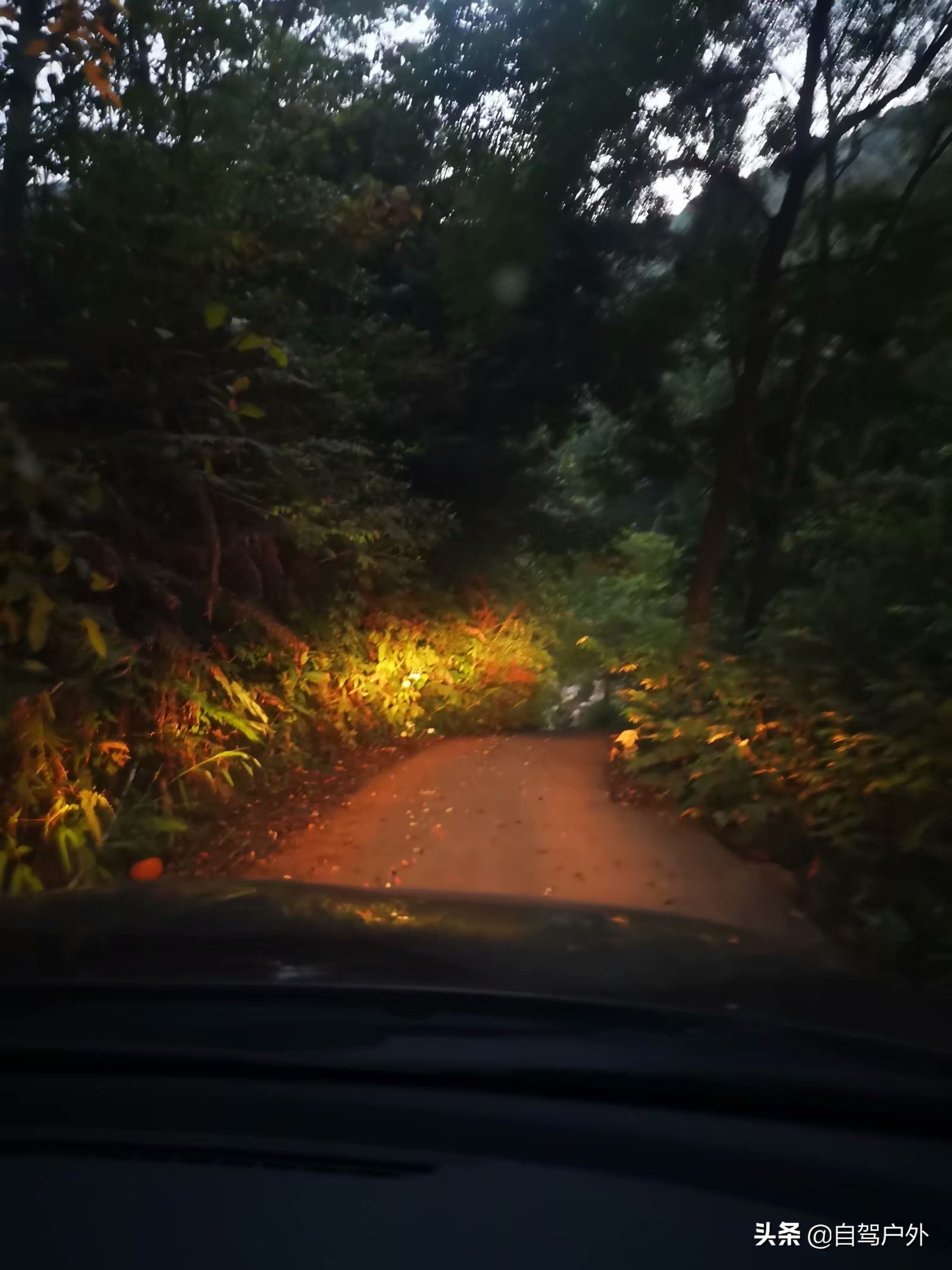 罗浮山脚下小溪露营地推荐,罗浮山休闲竹林露营攻略