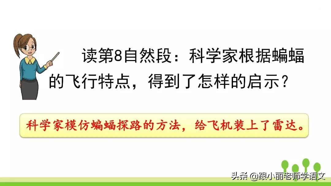 语文思维导图四年级上蝙蝠和雷达,人教版四年级上册蝙蝠和雷达朗读