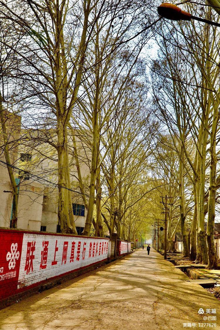 新安老家怀旧行，洛玻砂岩矿成为历史，洛阳水泥厂辉煌不再