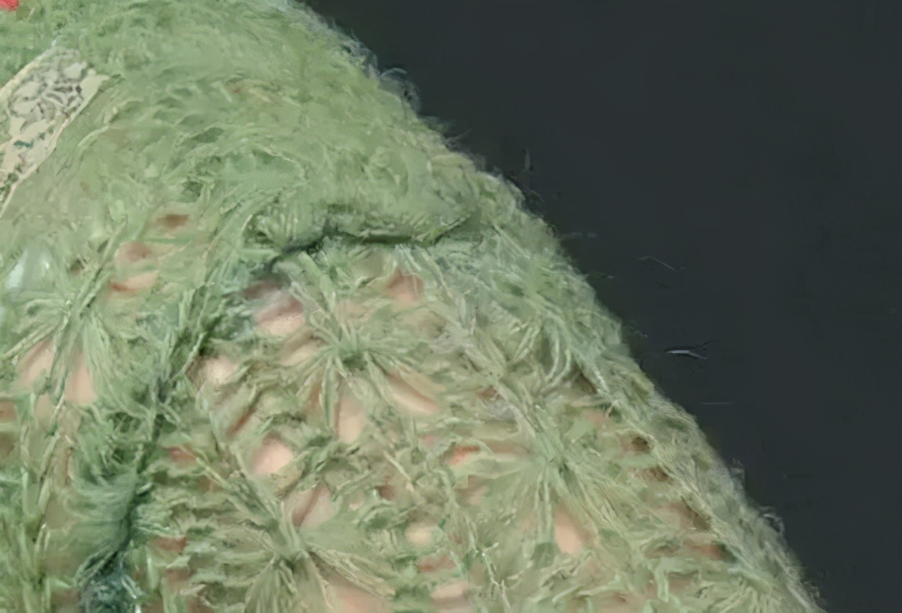 冷军画的鸡卖80万,马云收藏冷军画