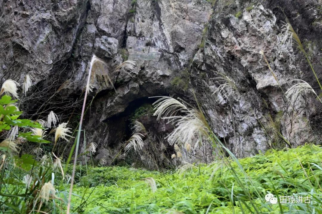 蛤没内衣与平阳田螺精
