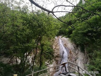 秀秀书院黄帝内经读书会,秀秀书院道德经读书视频