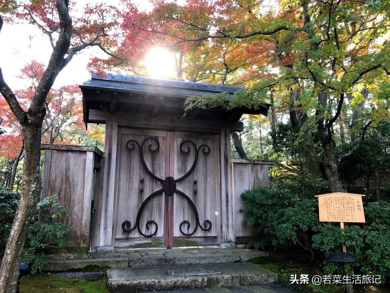 热海温泉和荷花温泉哪个好,日本三大温泉旅游攻略