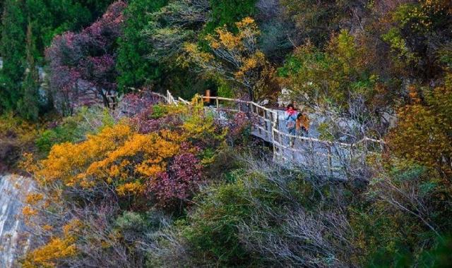 济南旅游景点推荐带孩子玩,济南旅游景点推荐适合带孩子