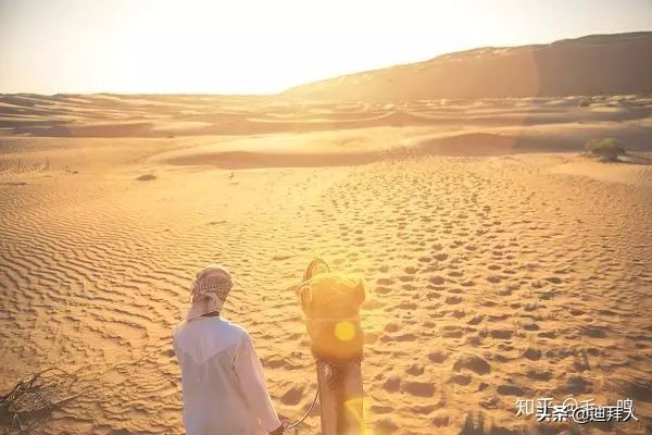 迪拜vs阿布扎比,迪拜vs纽约