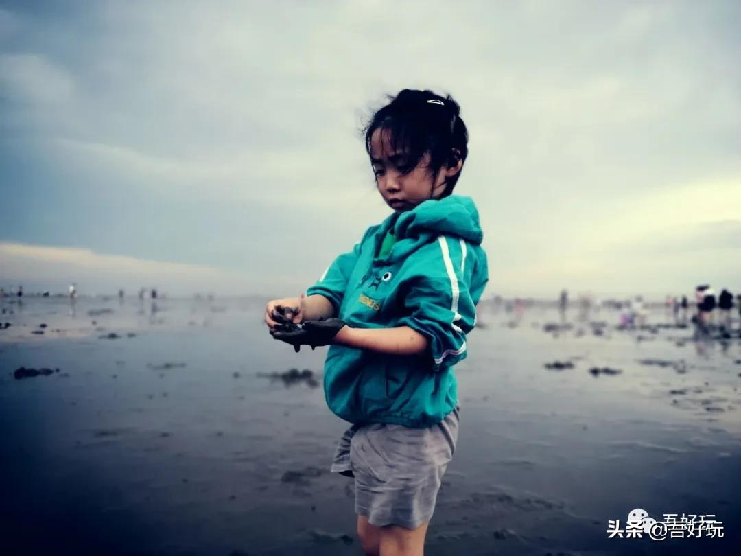 遛娃|南汇新城海滩，魔都夏日必打卡？