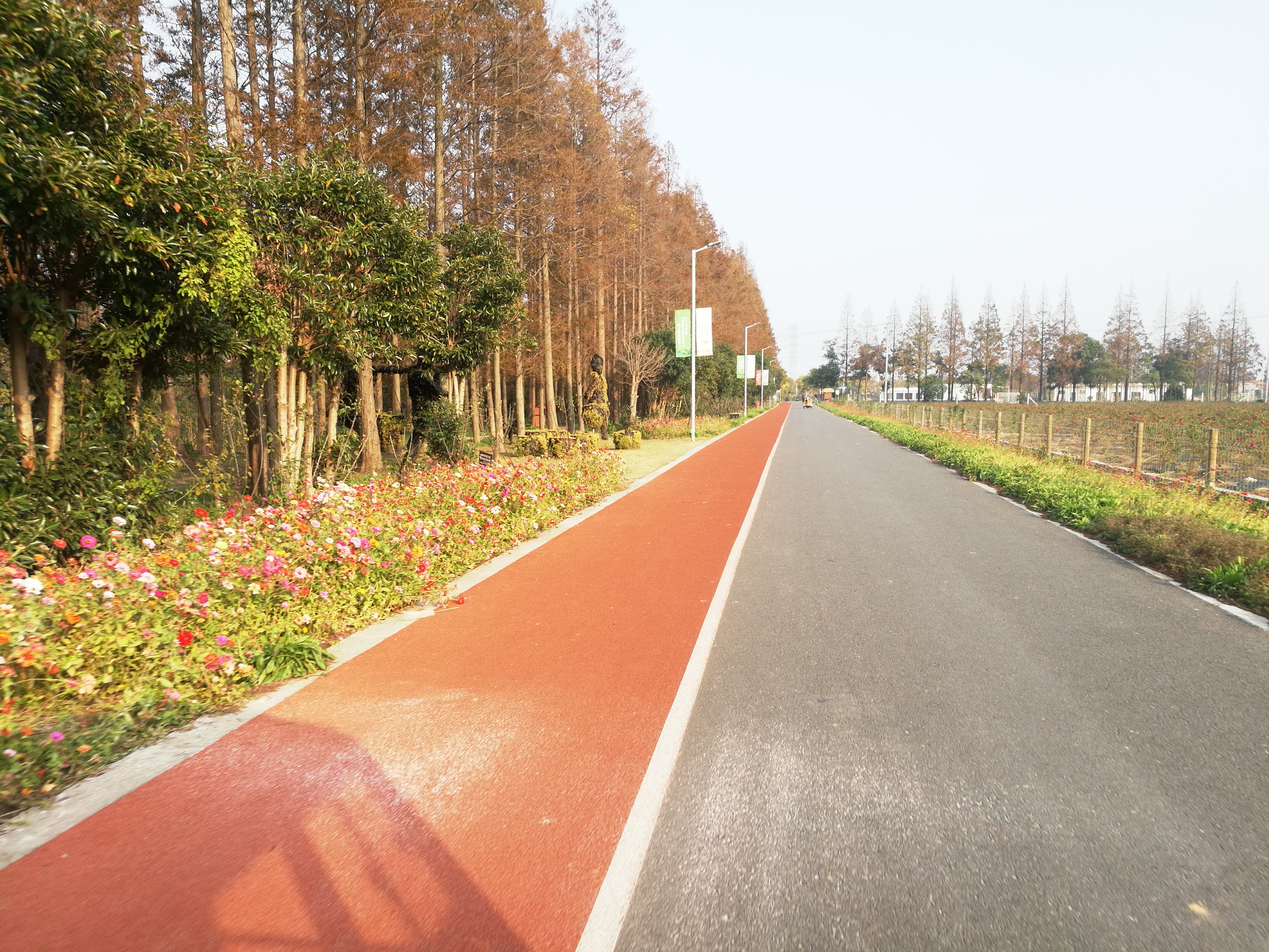 上海长兴岛郊野公园可以看见海吗,长兴岛郊野公园离上海站有几公里