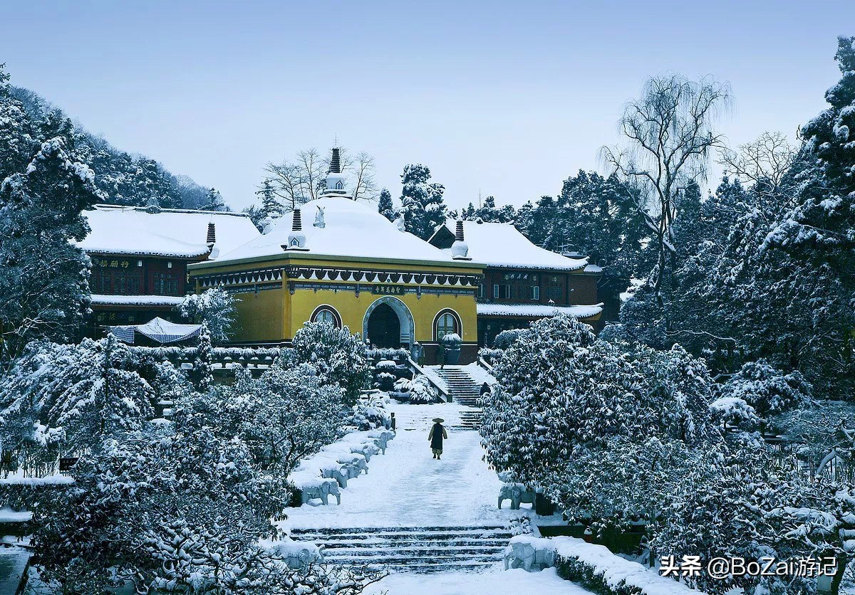 四川峨眉山景区怎么游玩最好,到峨眉山旅游哪家好玩点的多