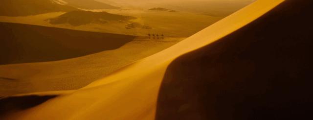 迪士尼公主和阿拉丁,迪士尼阿拉丁里面的公主