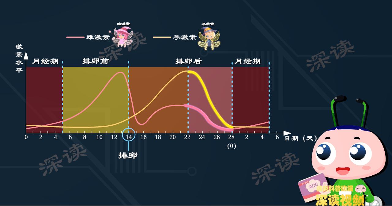 12小时内吃紧急避孕药成功率高吗,紧急避孕药成功率和排卵日有关么