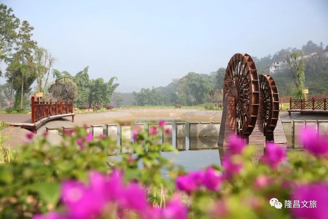 隆昌春光旅游攻略,春光正好多去户外活动