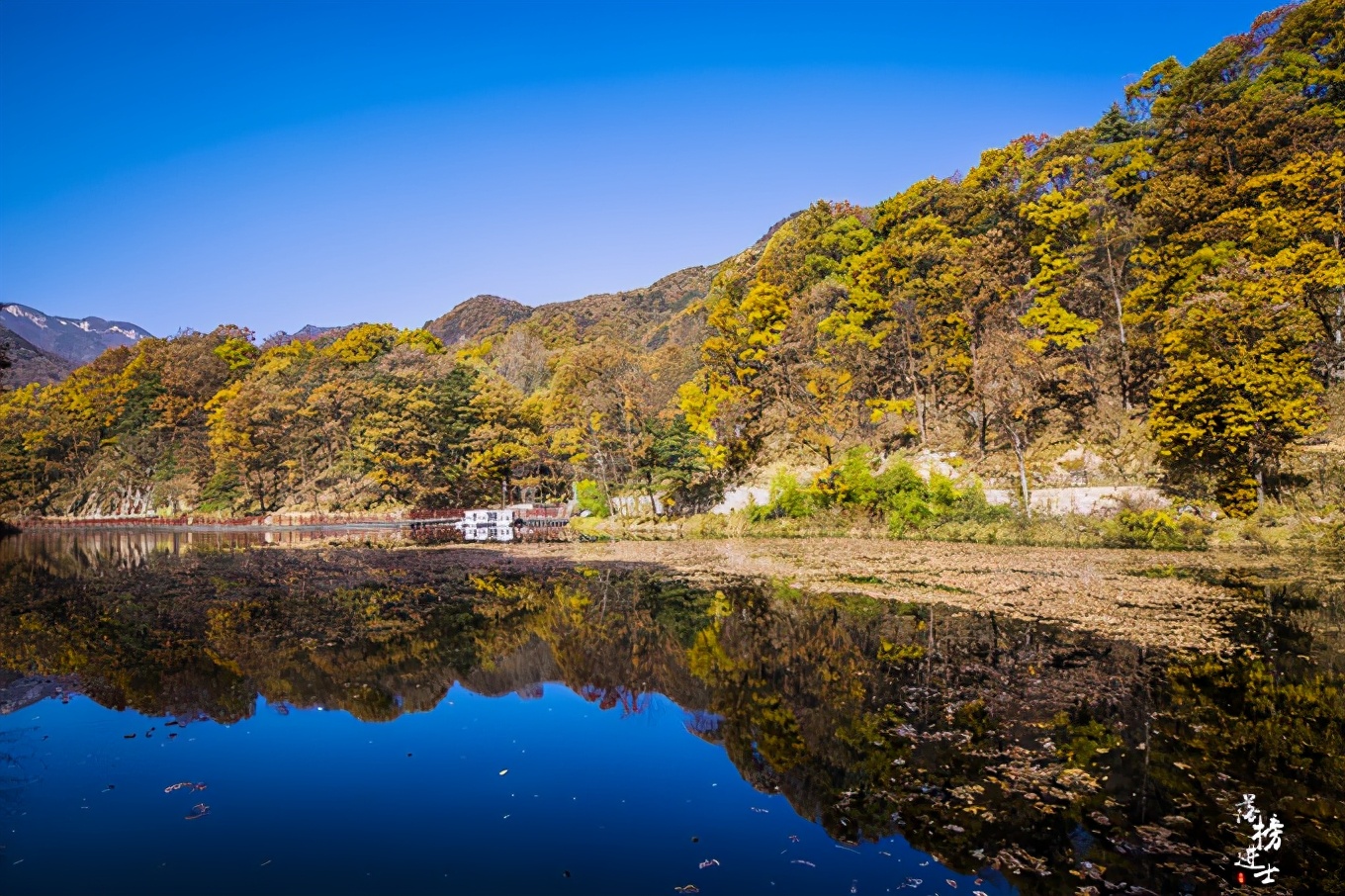 河南洛阳嵩县白云山都有哪些景观,河南洛阳嵩县的白云山风景名胜区