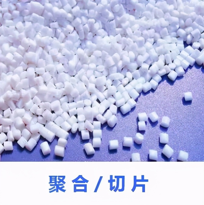 实地评估|斯尔克：多元创新、全面发展的产业链优势企业