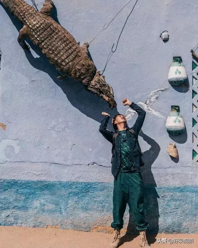 把非洲鳄界扛把子当宠物养是一种怎样的体验？