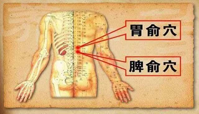 吃什么东西可以改善脾胃虚寒,跑步能改善脾胃虚寒吗