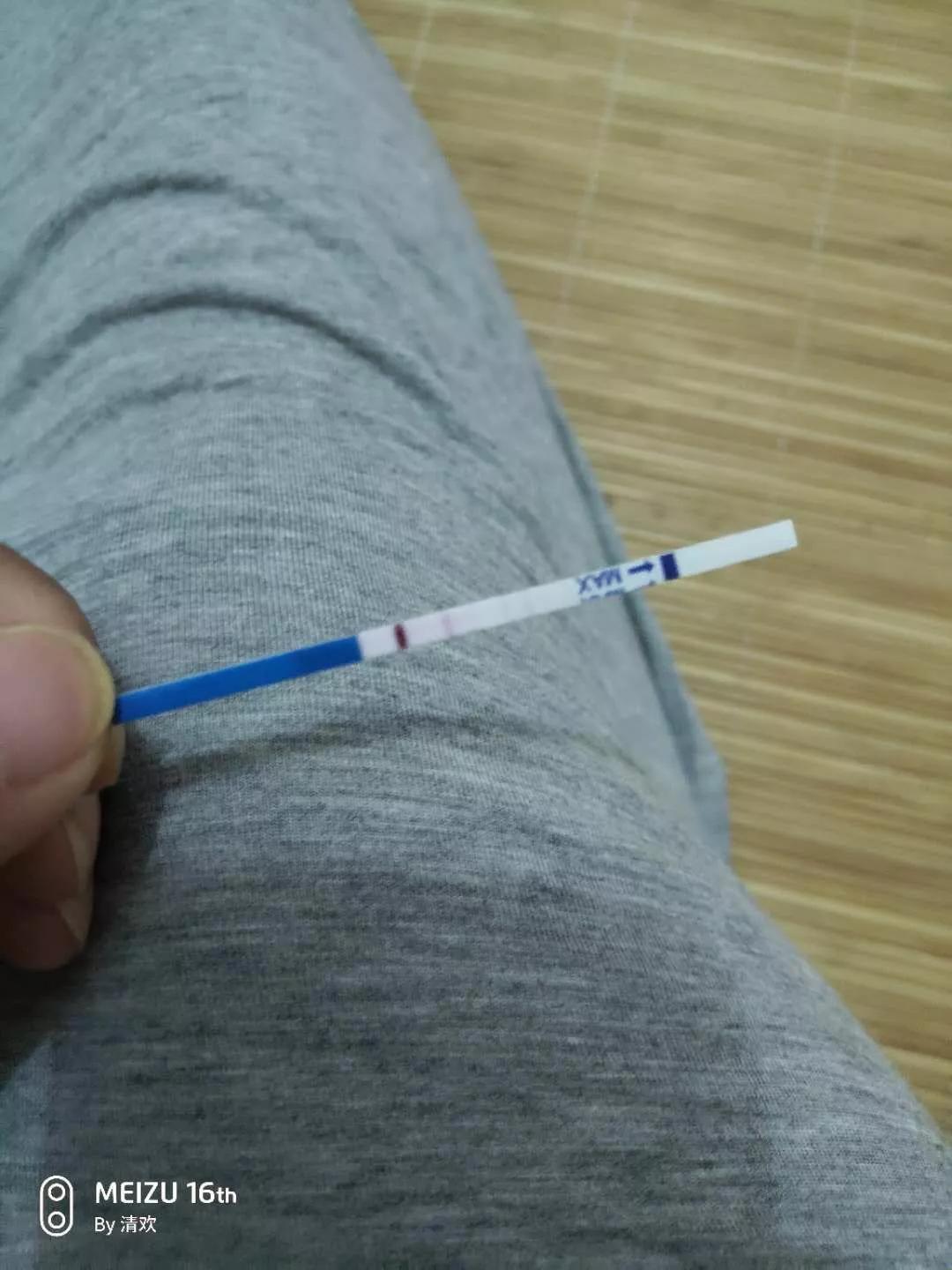 生育史报告单,生育纪事纪录片