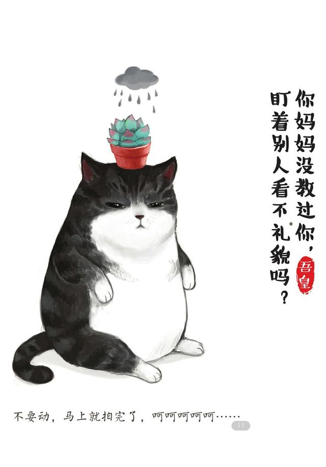 吾皇巴扎黑漫画系列全集,吾皇巴扎黑暖心日常小漫画