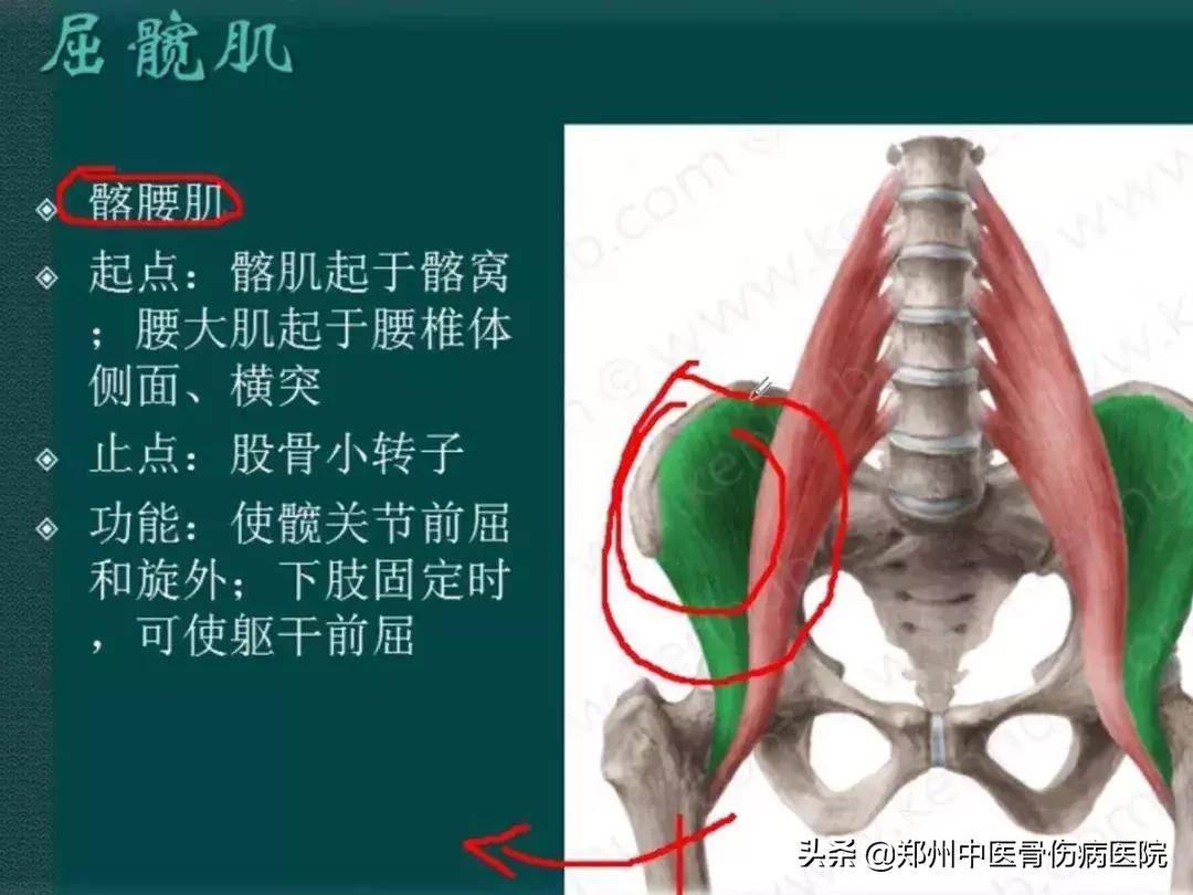 长短腿步态和跳跃性步态,大腿往内旋转纠正步态