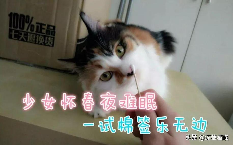 鍘荤埅鎵嬫湳瀵圭尗鏈夊澶х殑浼ゅ,妫夌澶ф硶鍚庡彲浠ョ粷鑲插悧