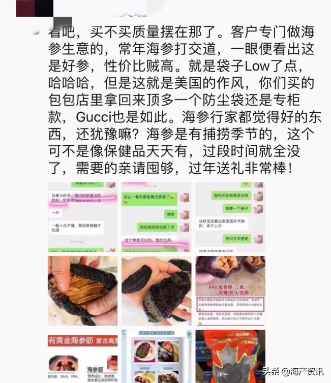 加拿大进口即食海参,加拿大即食海参500g6只左右