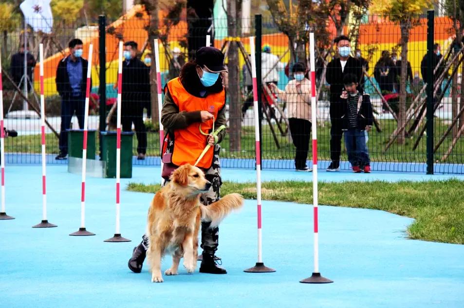 五一萌宠游园会,五一萌宠节