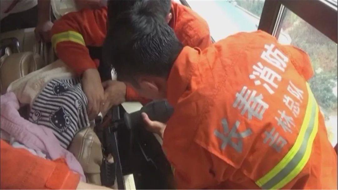 女童被咬视频,女童被咬的事件