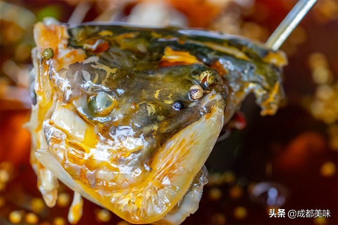 最好吃的美蛙鱼头在哪里,美蛙鱼头火锅的吃法