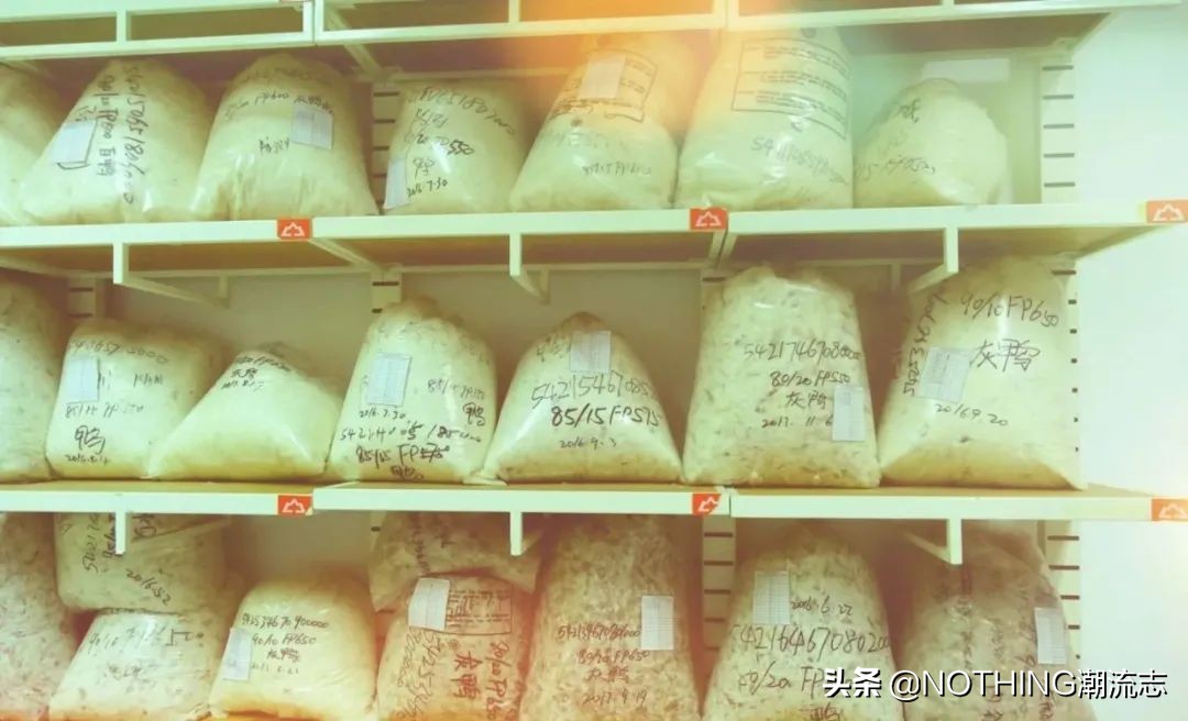 国货羽绒服平价推荐,国货立领羽绒服