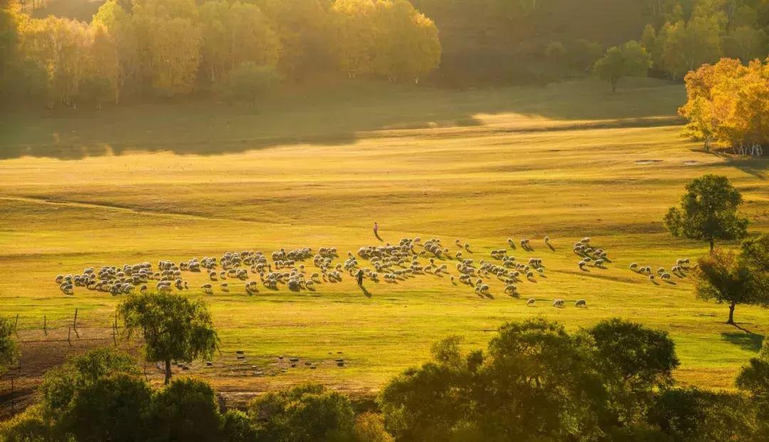 北京风景游玩区,北京郊区最美景点旅游攻略