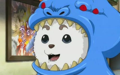 十大名猫动漫,动漫排行榜前十名京剧猫