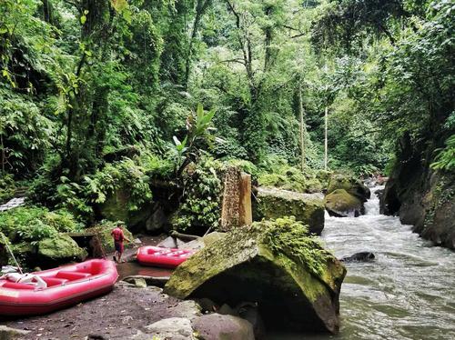 天堂之岛巴厘岛，半自由行攻略和必去景点