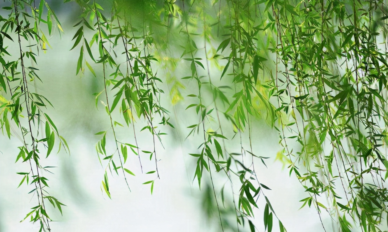 依依杨柳唯美诗句,很浪漫的诗句古诗