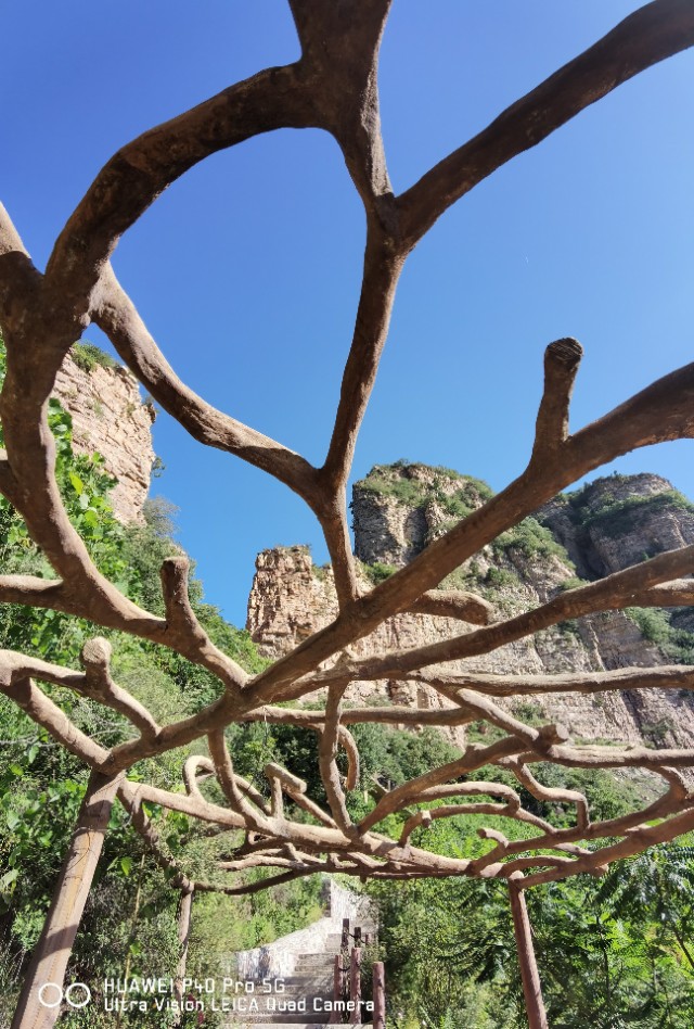 唐人游玩,唐人天下国际旅游夜游长城