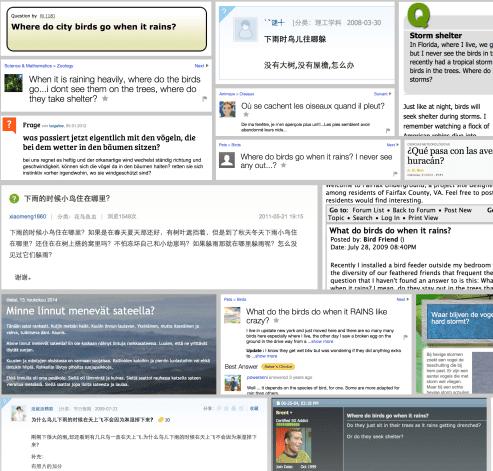 又要下雨了小鸟怎么办,雨这么大该怎么走