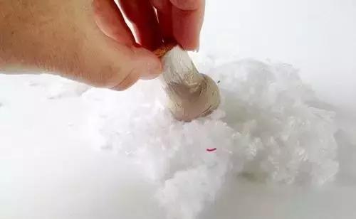 红酒的软木塞怎么取出来,各种红酒软木塞