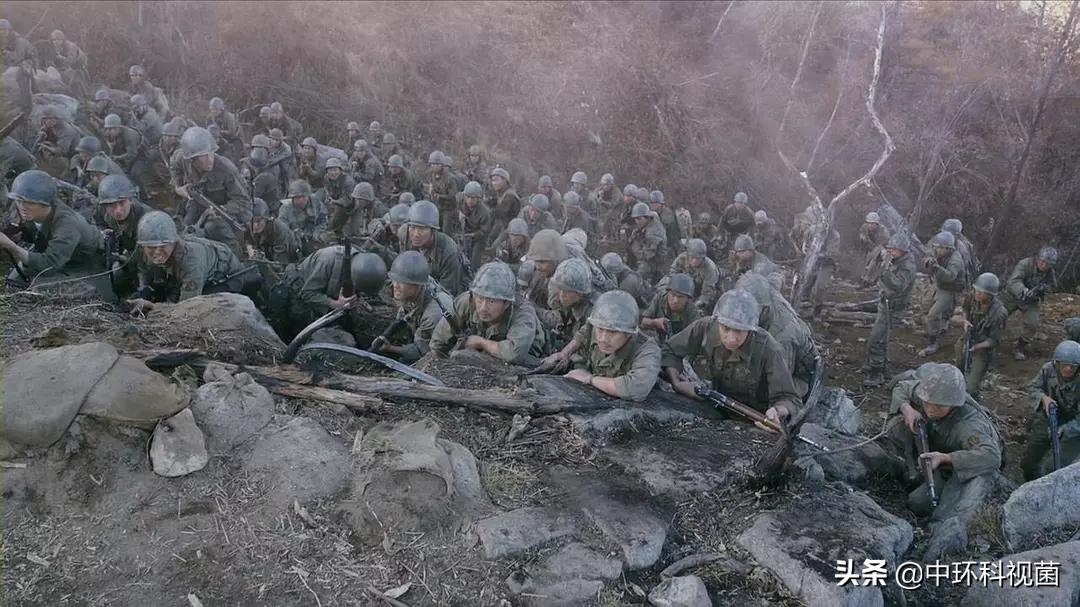 推荐10部残酷又惨烈的战斗电影,推荐几部战斗场面震撼的电影