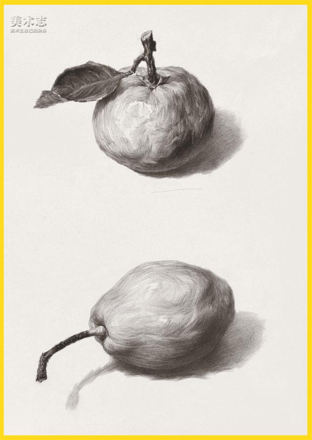 素描常见水果,适合新手的100幅素描画蔬菜水果