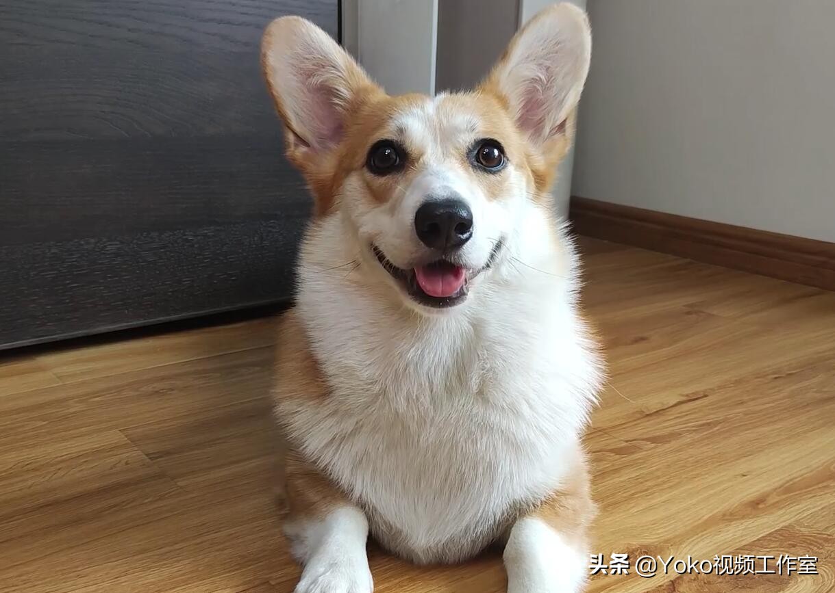 第一次买电脑该买什么品牌,第一次买电脑买什么