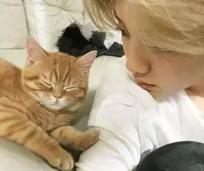 哪些爱豆有养猫,爱豆养猫