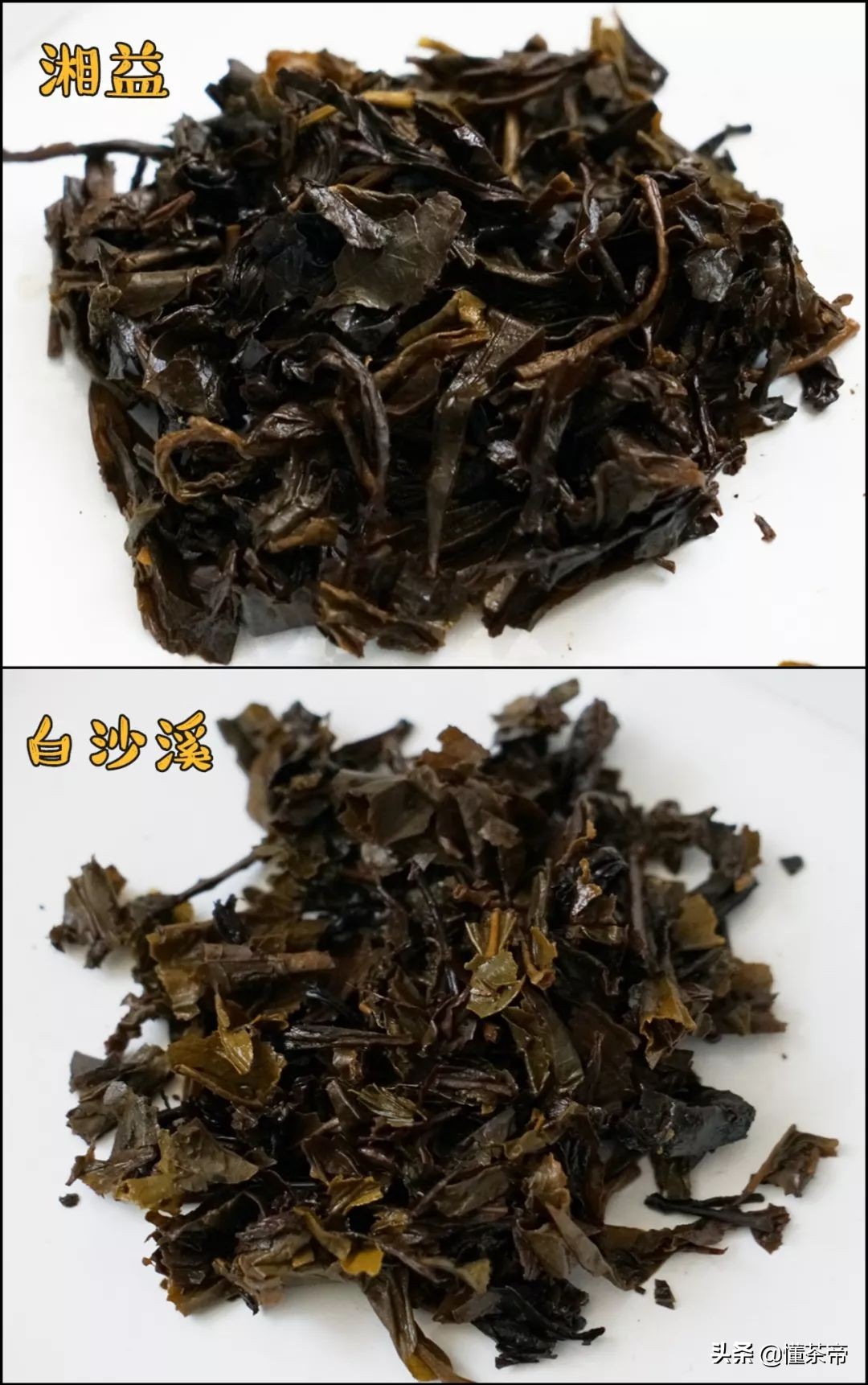 黑茶评测,哪个黑茶口感好香甜又好喝
