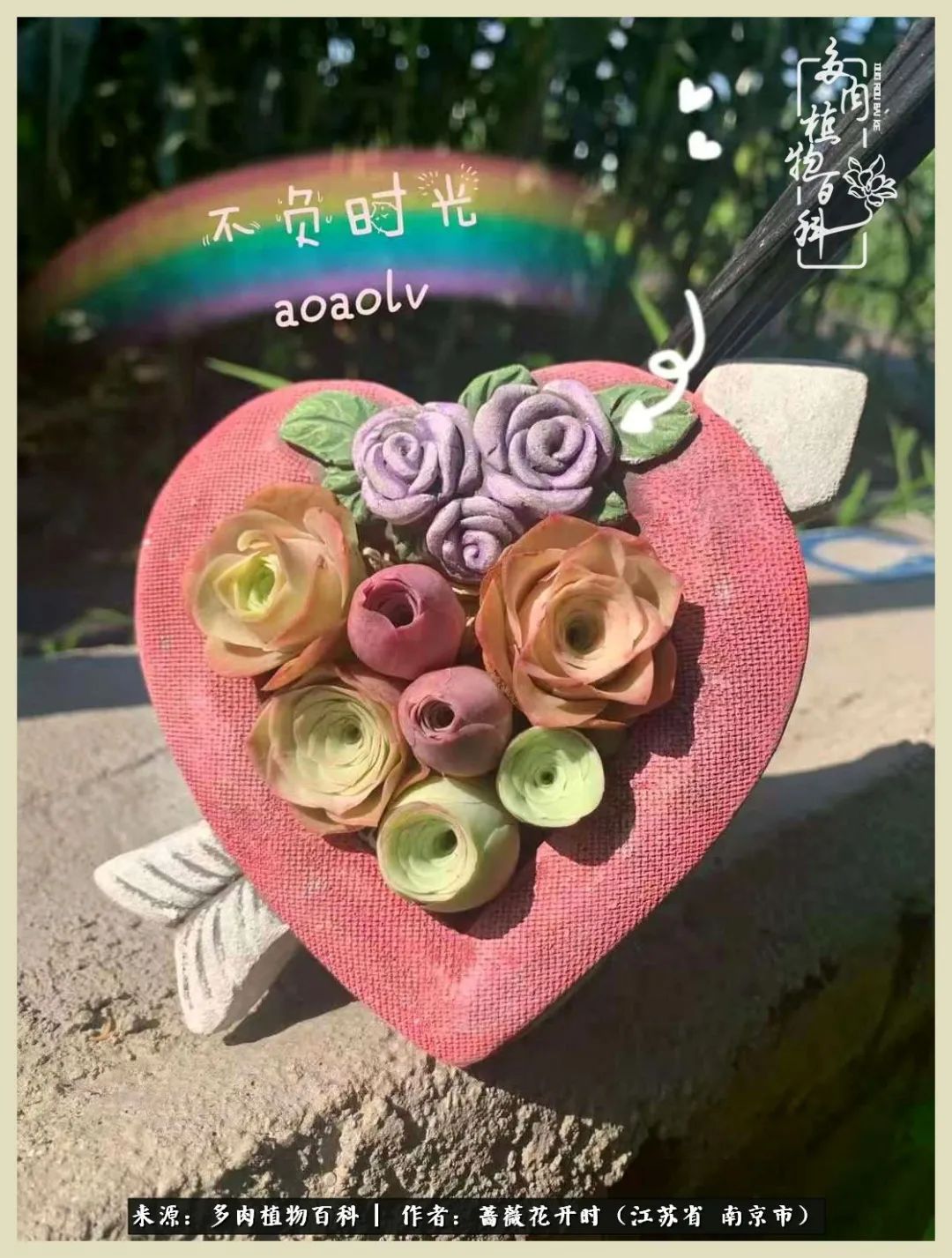 又见颜的妩媚，色的诱惑！这些山地玫瑰礼盒惊艳了眼眸