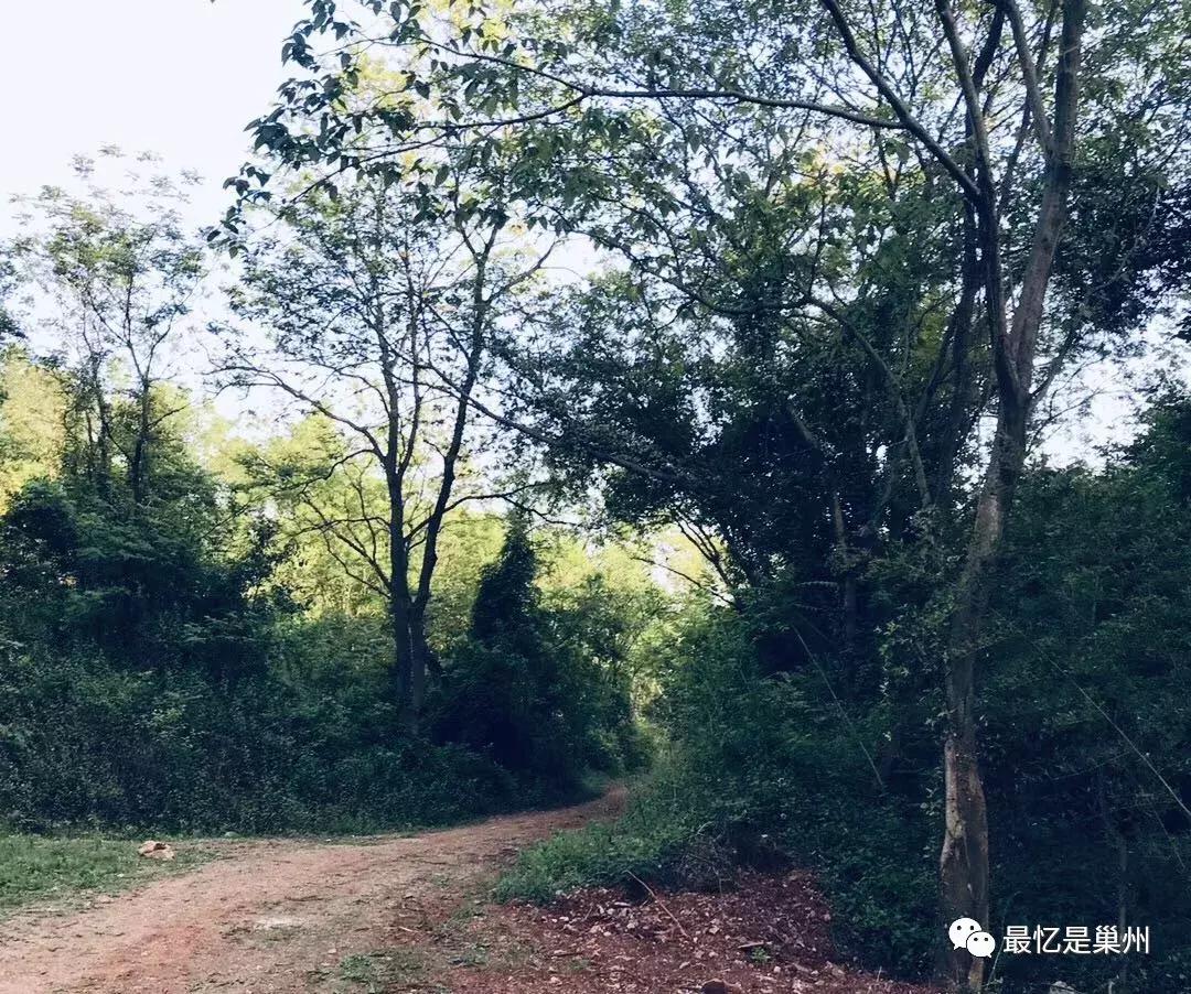 巢湖柘皋往事,巢湖柘皋古镇早期照片