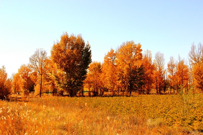 去一次大西北等于远行十次,去宁夏旅游的最佳地方