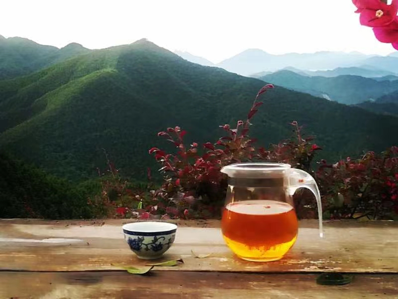 疫情过后娱乐行业重创,疫情过后旅游业的反弹