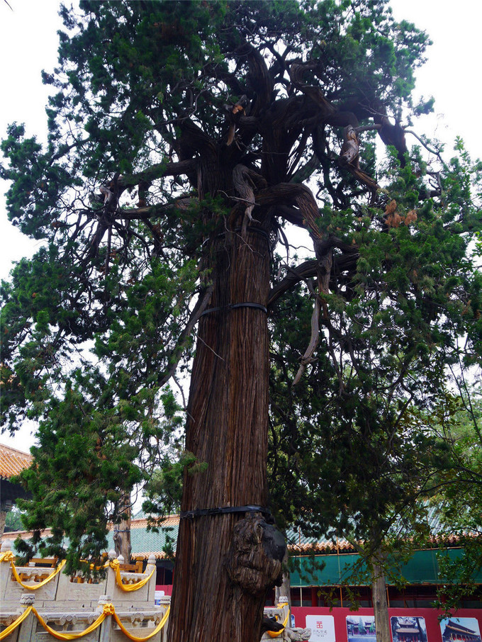 鏇查槣瀛斿簷鍥涘杞洖,鏇查槣瀛斿簷涓囦笘甯堣〃鍖鹃